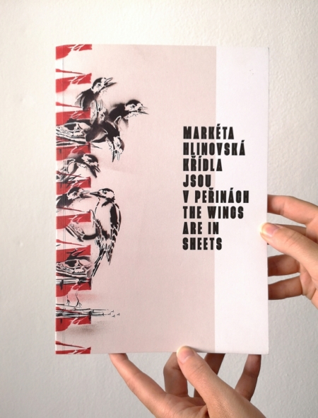 Markéta Hlinovská: The Wings are in Sheets