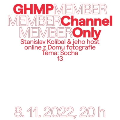 online / Art without Limits: Member Channel 13 (cs)