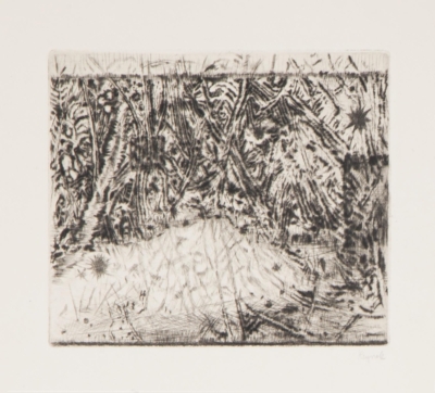 Art workshop for adults and seniors / integration and intergenerational programme: Graphic Art: Drypoint Technique / for the GHMP Collection