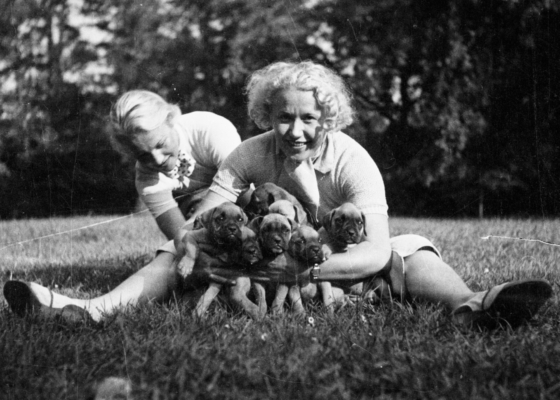 Fotograf Karel Čapek