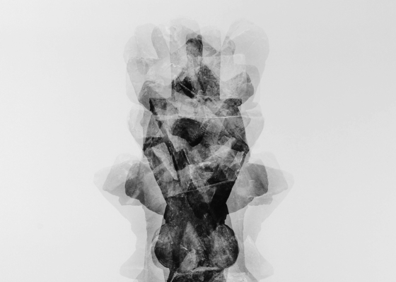 Expanding Our Collection: Acquisitions 2013–2025