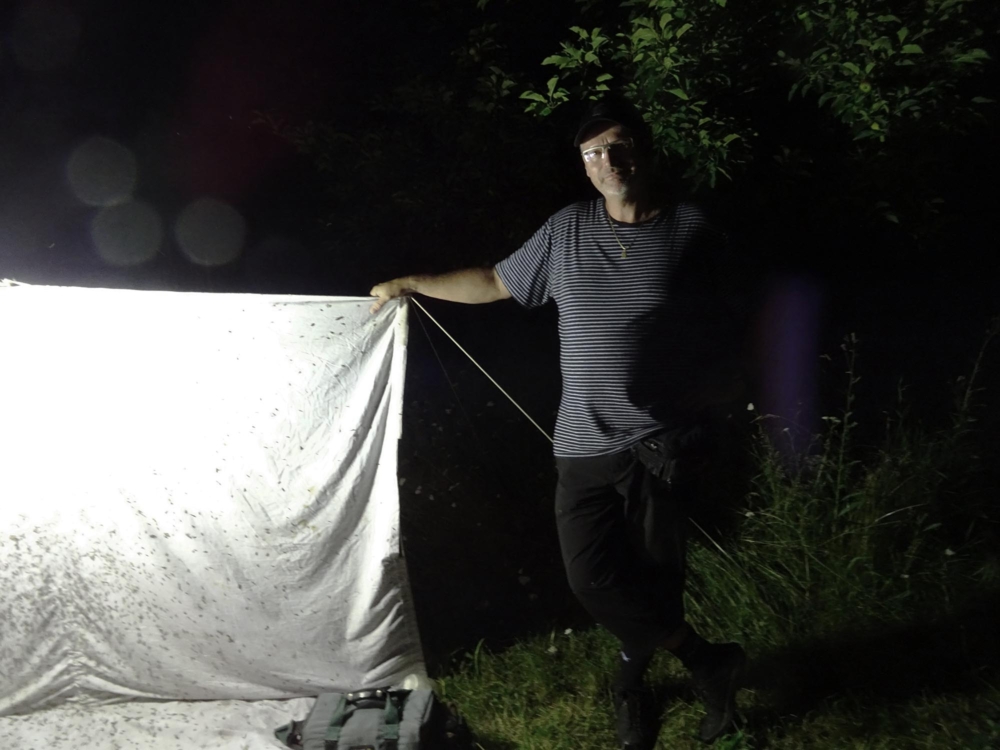 Noční letci – pozorování nočního hmyzu