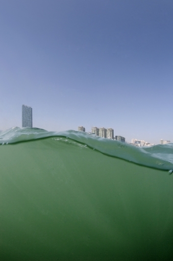 Andreas Müller-Pohle, Kowloon Bay, from Hong Kong Waters, 2009