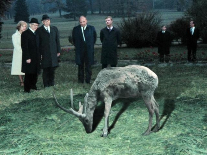 Adéla Babanová: Návrat do Adriaportu, Colloredo-Mansfeldský palác, 2014