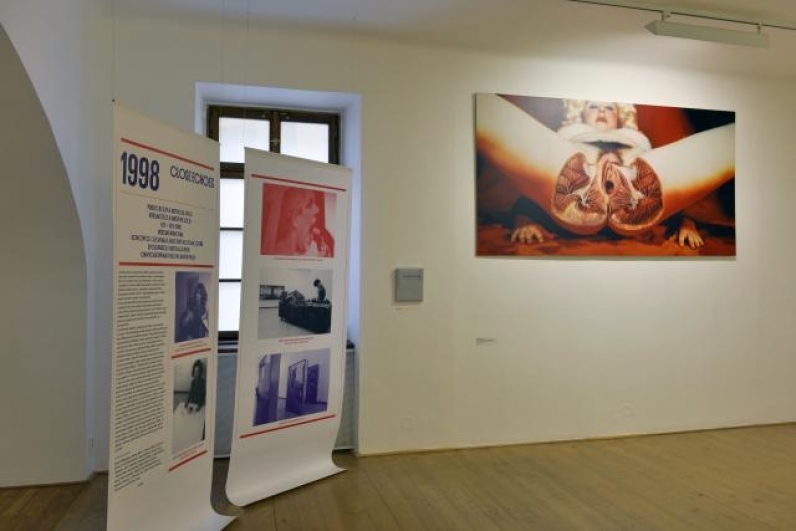 pohled do výstavy Život Galerie hlavního města Prahy 50, Dům U Zlatého prstenu, 2013. Foto Oto Palán