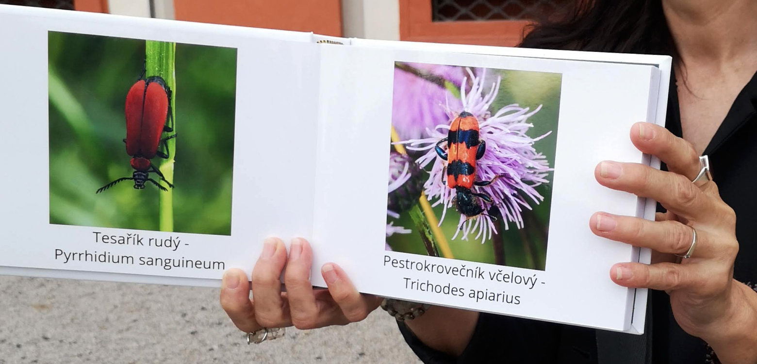 Marie Steinerová a prohlídka zahrady "Ze života hmyzu"