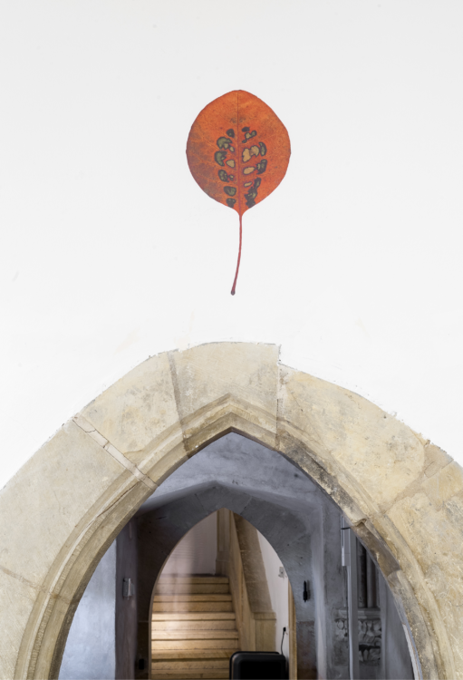 view to the exhibition of František Skála and Other Works, Stone Bell House, 2021. Photo by Tomáš Souček