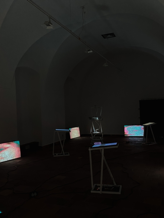 view to the exhibition of Saša Spačal: MycoMythologies, Troja Château, 2021. Photo by Prague City University