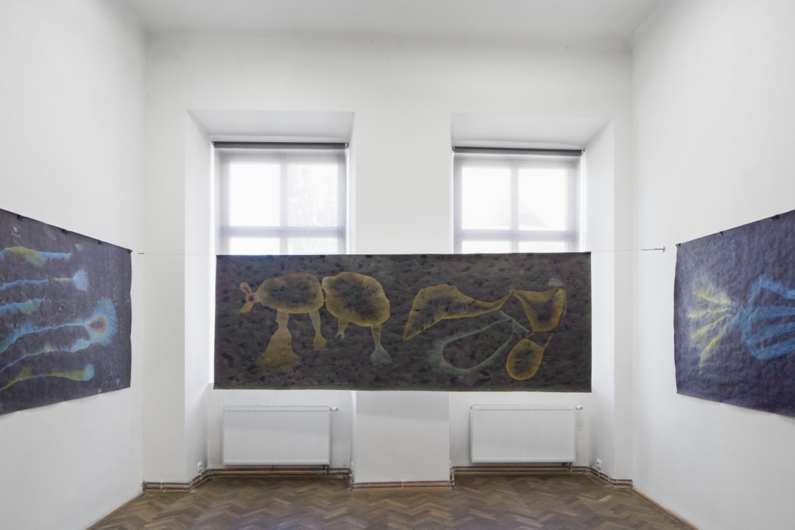 pohled do výstavy Erika Bornová, Šílenství je stráž noci, Colloredo-Mansfeldský palác, 2021. Foto Tomáš Souček
