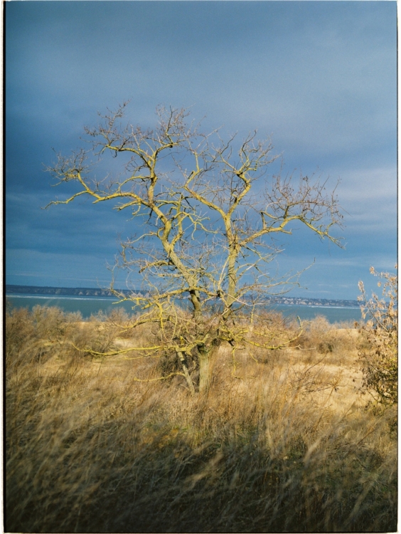 Alexander Našelenko, Nedokončené studie na ukrajinském jihu, únor 2022, barevná analogová fotografie, 30×42 cm