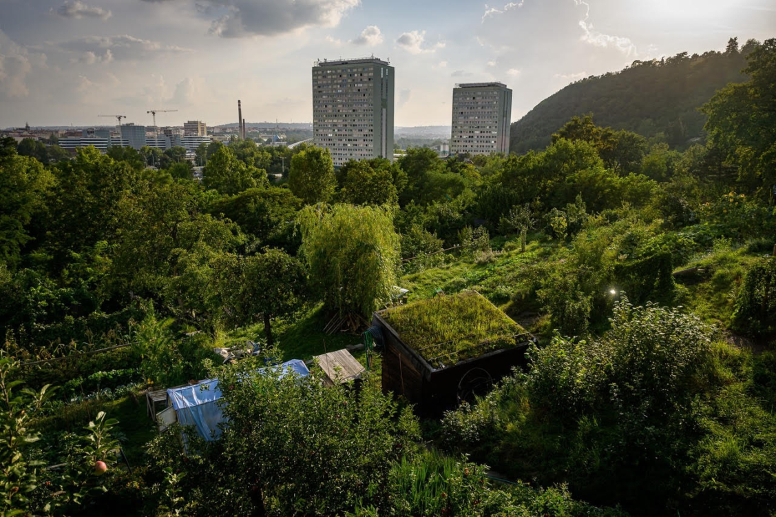 Urban Walk: expedice do trojské divočiny a starých zahrádkářských kolonií. Foto Petr Zewlakk Vrabec