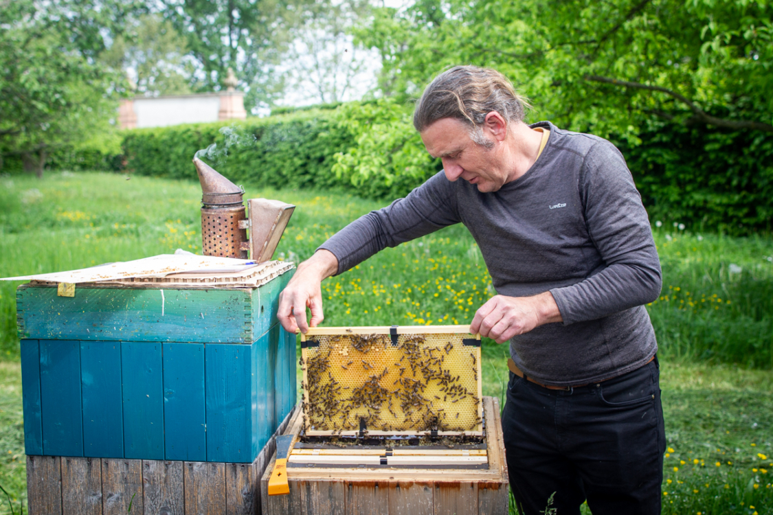 prohlídka včel s včelařem Jiřím Hejnicem, zahrada Zámku Troja, 2023. Foto Pavlína Šulcová