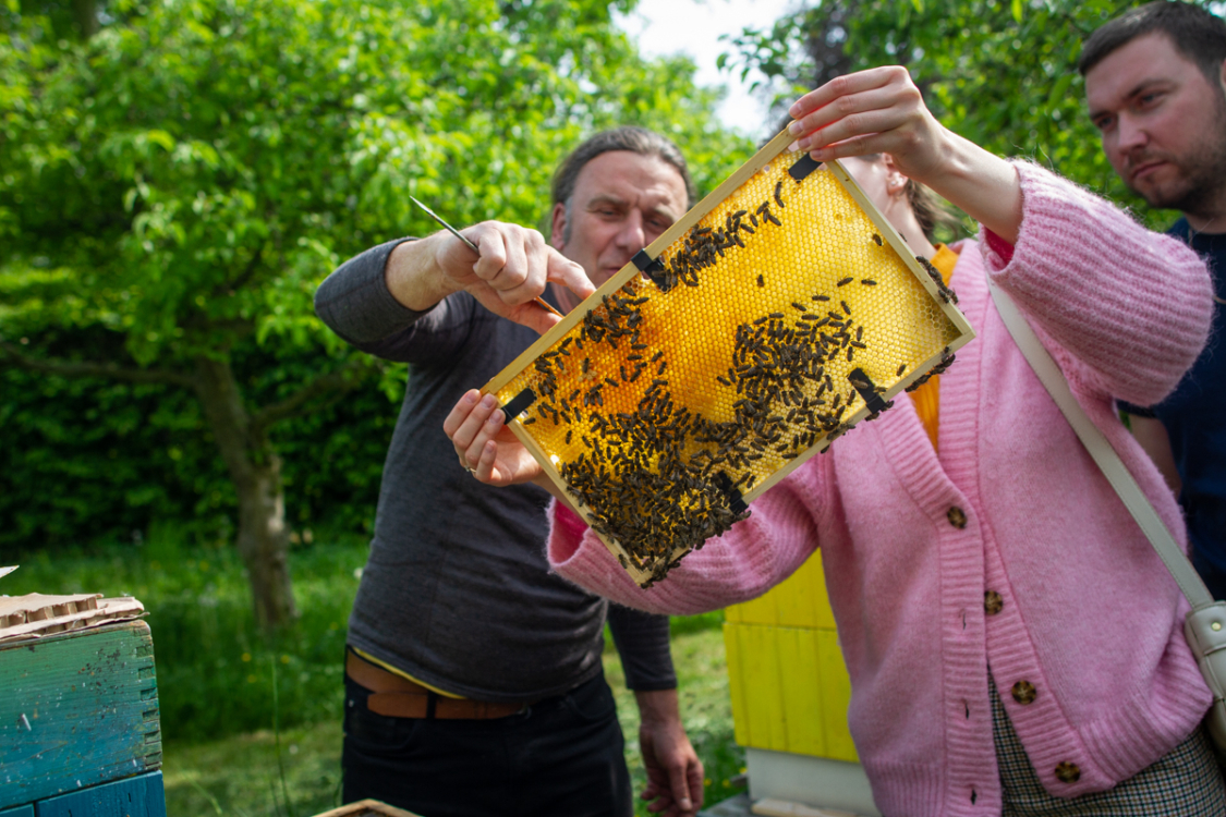 prohlídka včel s včelařem Jiřím Hejnicem, zahrada Zámku Troja, 2023. Foto Pavlína Šulcová