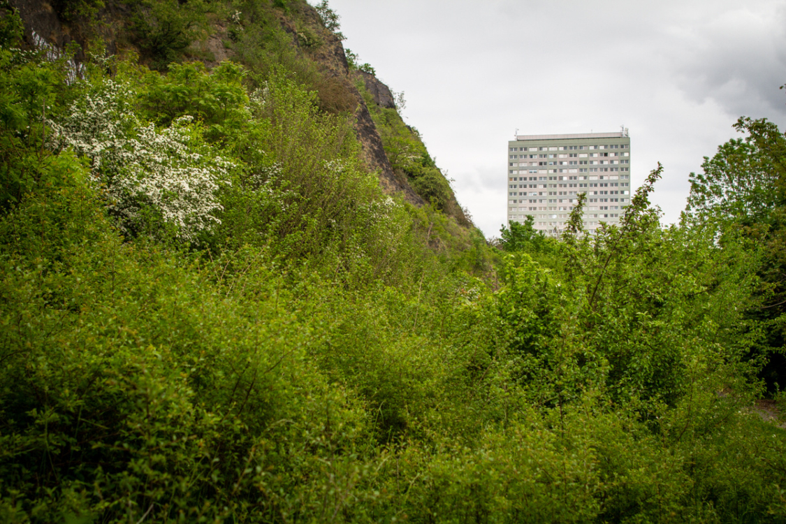 Urban Walk: expedice do trojské divočiny s geologem Radkem Mikulášem, Praha-Troja, 2023. Foto Pavlína