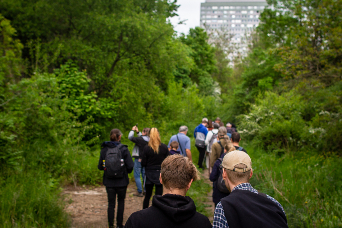 Urban Walk: expedice do trojské divočiny s geologem Radkem Mikulášem, Praha-Troja, 2023. Foto Pavlína