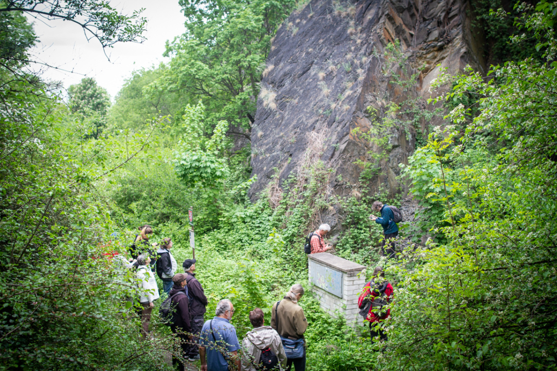 Urban Walk: expedice do trojské divočiny s geologem Radkem Mikulášem, Praha-Troja, 2023. Foto Pavlína