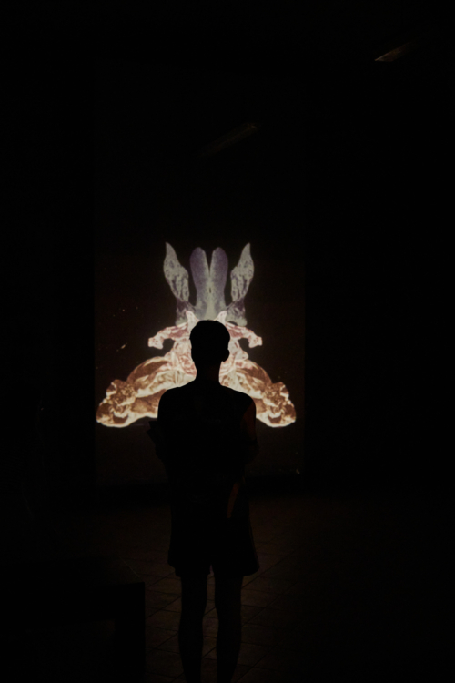 view to the Darina Alster: Timelessness exhibition, Troja Château, 2023. Photo by Lukáš Hlavín