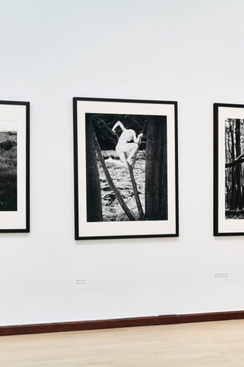 view to the Tono Stano exhibition, GHMP Knihovna, 2025. Photo by Jan Kolský