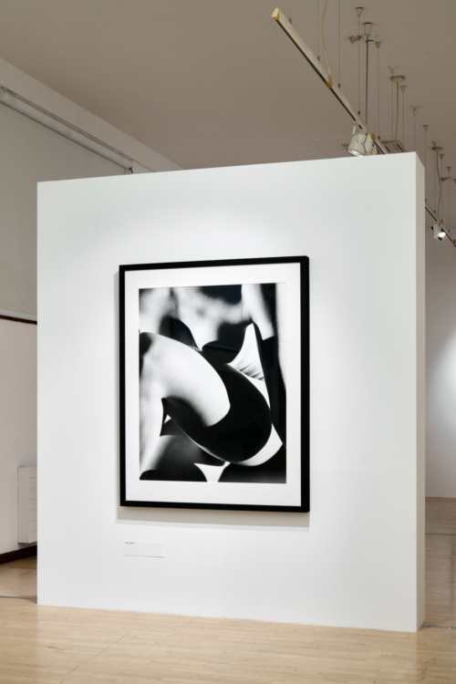 view to the Tono Stano exhibition, GHMP Knihovna, 2025. Photo by Jan Kolský