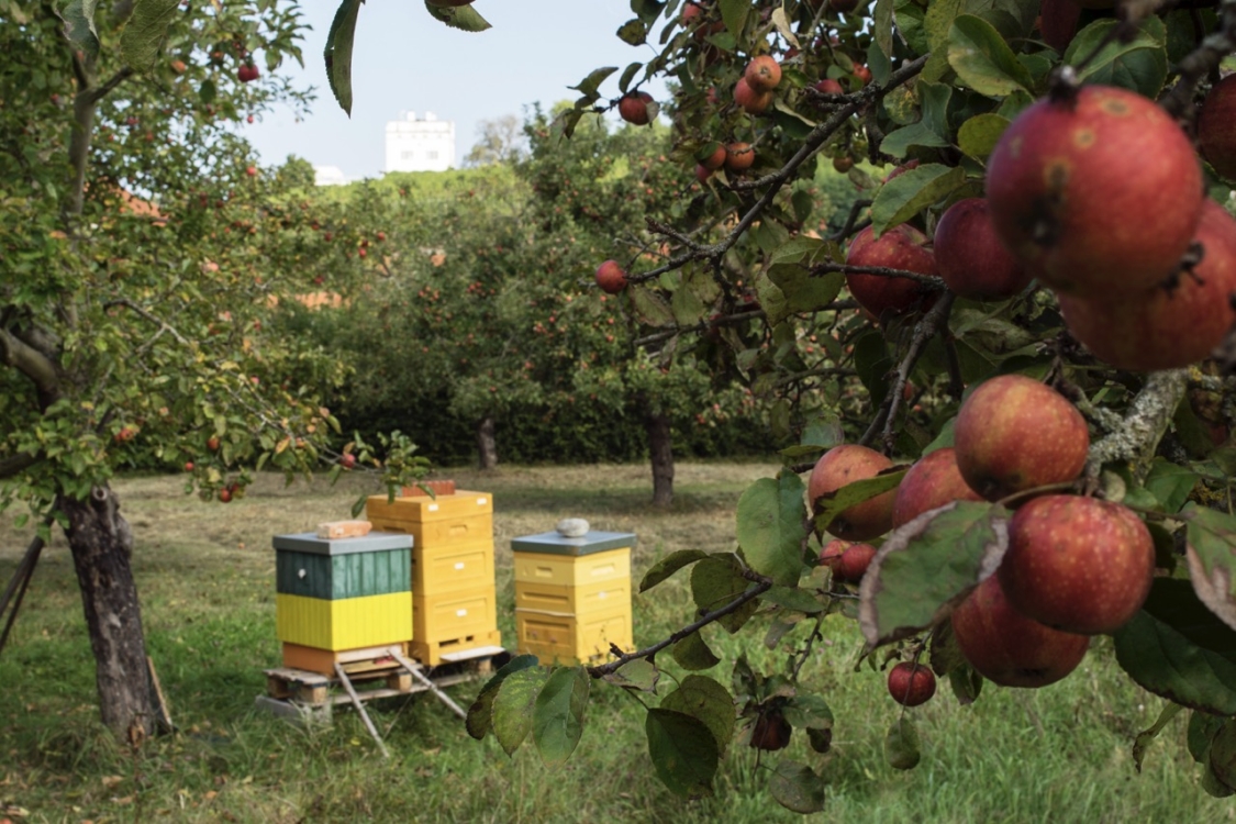 Trojský zámek- zahrada-Tomas-Soucek3