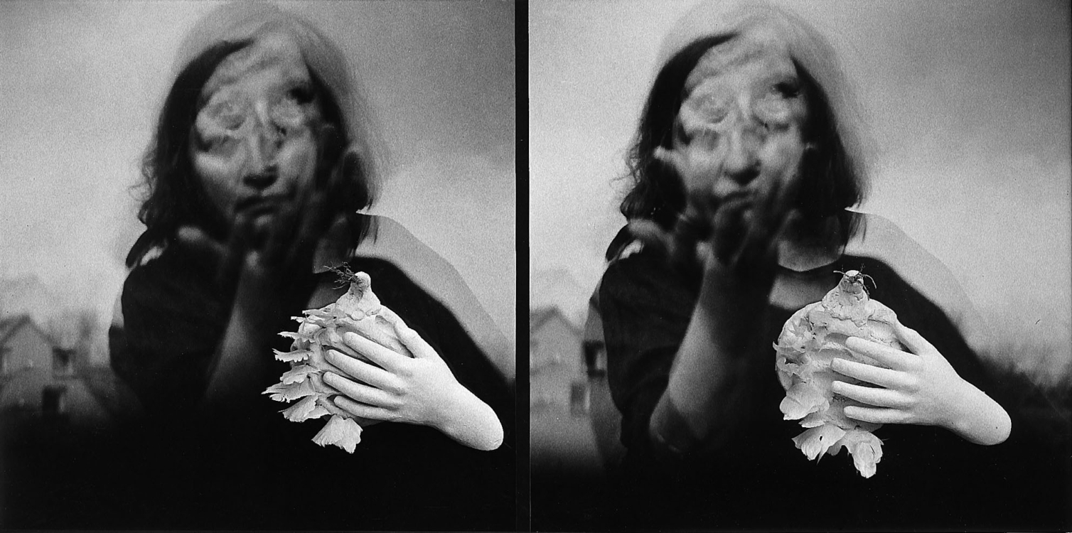 Jan Švankmajer, Here Lived and Suffered E.Š., 1994, realized stereography