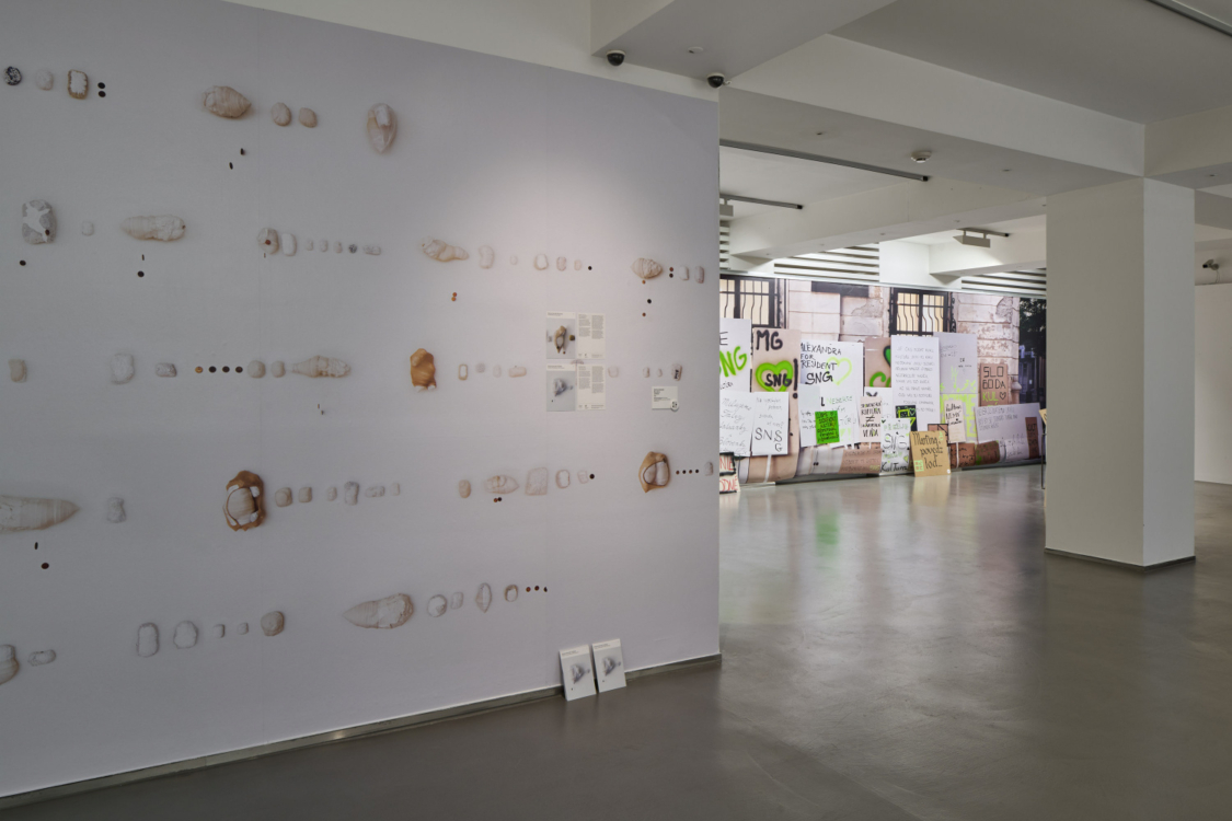 view to the Free National Gallery. Description of a Struggle exhibition, GHMP Dům fotografie, 2026. Photo by Jan Kolský