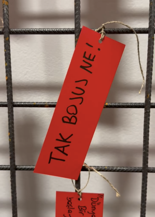 detail z výstavy Slobodná národná galéria. Popis jedného zápasu, GHMP Dům fotografie, 2026.