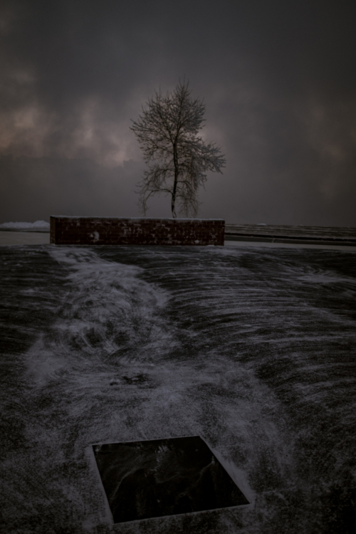 Copy of 54_DSCF8521 copy