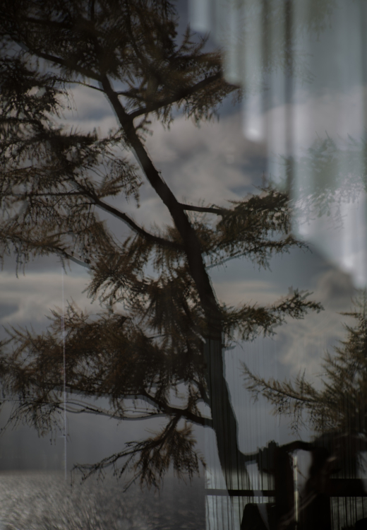 Copy of 22_637A8741 copy