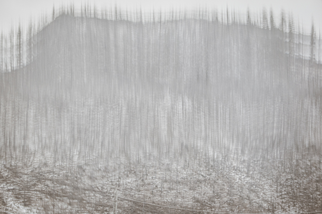 Copy of 15_P1040574 copy 2