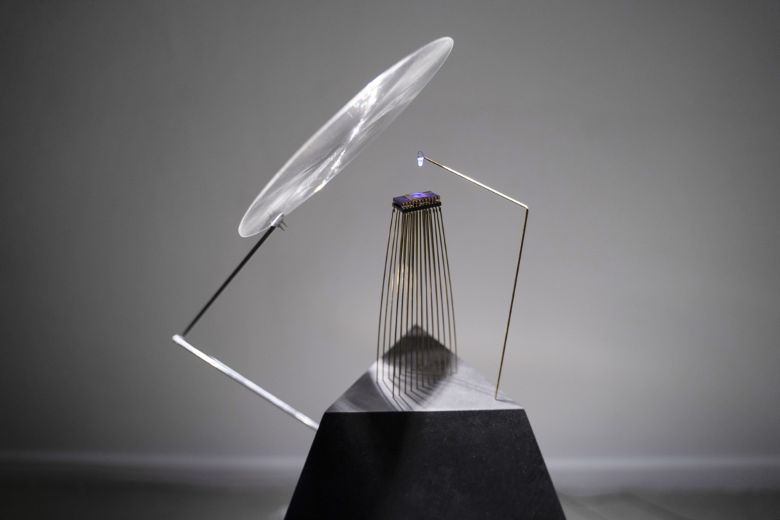 Ioana Vreme Moser, Mineral Amnesia, pohled do instalace, foto: Polina Davydenko, 2023