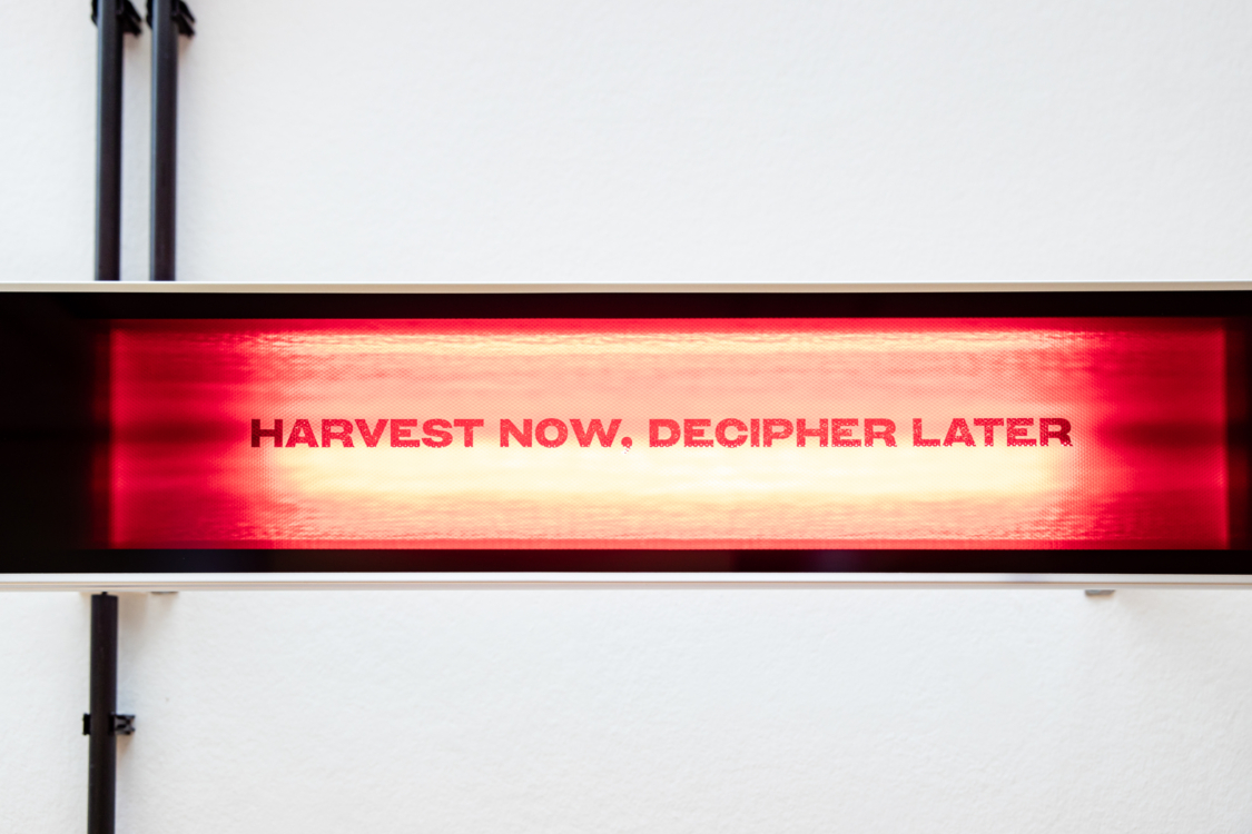 Agustina Woodgate, Circuit, 2024-2026, galerijní instalace