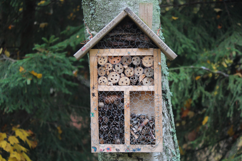 Tania Malréchauffé, Insect hotel Lauttasaari, Helsinki