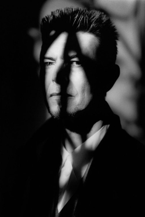 Antonín Kratochvíl, David Bowie, 2007