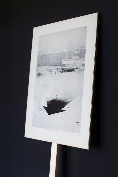 view to the exhibition of Rudolf Sikora and Vladimír Havlík: Snow Stone Star Tree, Colloredo-Mansfeld Palace, 2020. Photo by Tomáš Souček